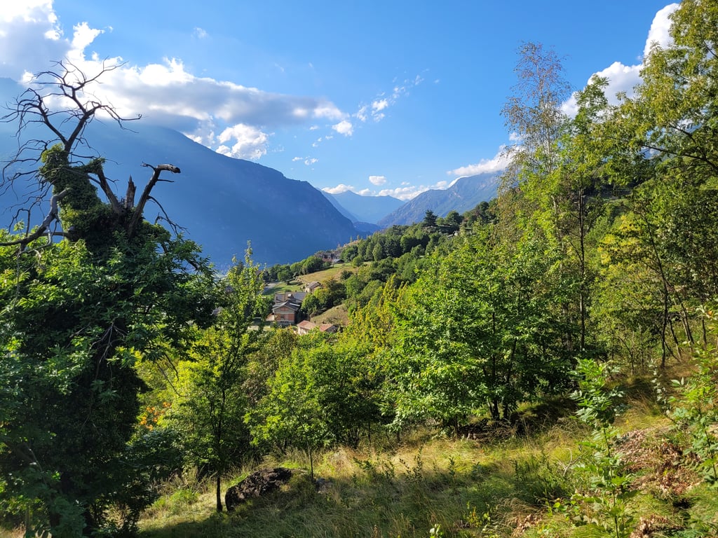 Photo 968723